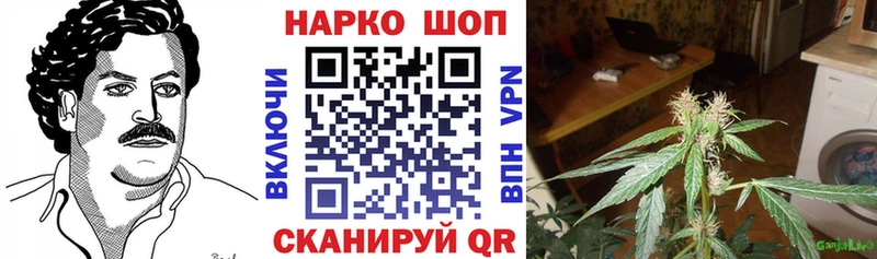 Где купить Маркс ГАШ Cocaine Alpha-PVP Канабис МЕФ
