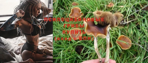 мдпв Зеленокумск
